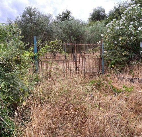 terreno agricolo in vendita a Sessa Aurunca in zona Rongolise