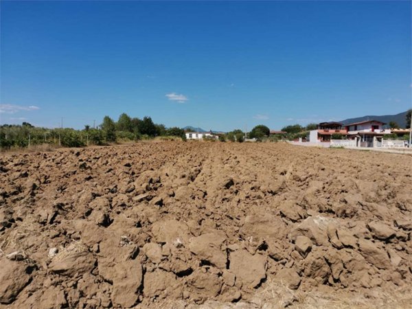 terreno agricolo in vendita a Sessa Aurunca in zona Piedimonte