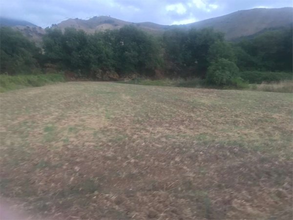 terreno agricolo in vendita a Sessa Aurunca in zona Piedimonte