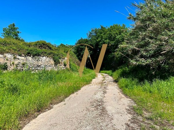 terreno agricolo in vendita a Sessa Aurunca in zona Ponte