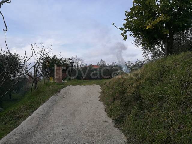 terreno agricolo in vendita a Sessa Aurunca in zona Baia Domizia