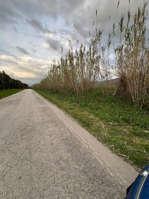 terreno agricolo in vendita a Sessa Aurunca