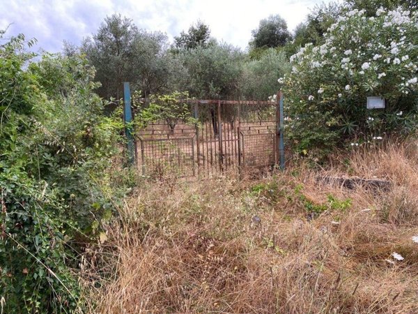terreno agricolo in vendita a Sessa Aurunca in zona Aulpi