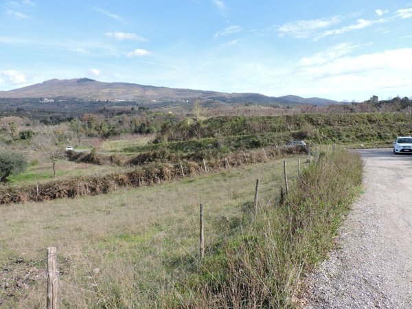 terreno agricolo in vendita a Sessa Aurunca in zona Rongolise