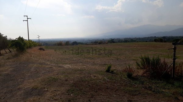 terreno agricolo in vendita a Sessa Aurunca in zona Rongolise