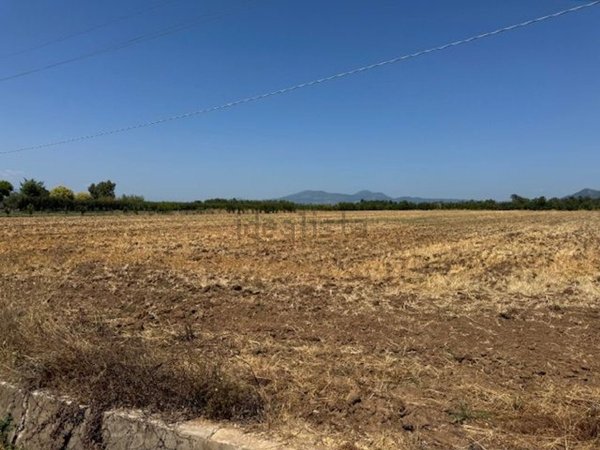 terreno agricolo in vendita a Sessa Aurunca