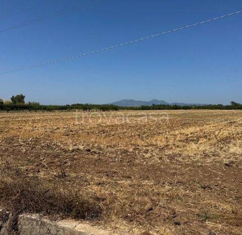 terreno agricolo in vendita a Sessa Aurunca