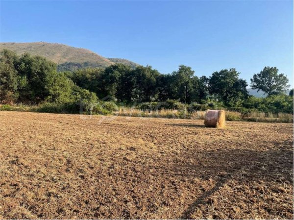 terreno agricolo in vendita a Sessa Aurunca in zona Piedimonte