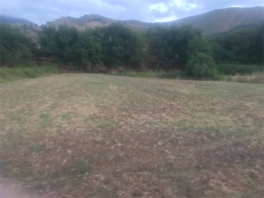 terreno agricolo in vendita a Sessa Aurunca in zona Piedimonte