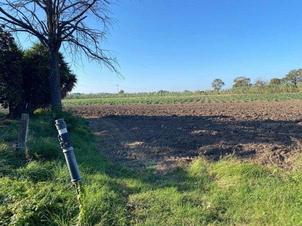 terreno agricolo in vendita a Sessa Aurunca in zona Cascano