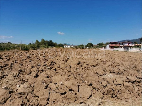 terreno agricolo in vendita a Sessa Aurunca in zona Piedimonte