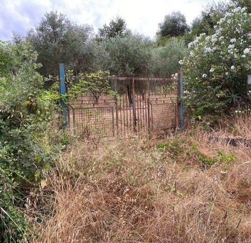 terreno agricolo in vendita a Sessa Aurunca in zona Rongolise