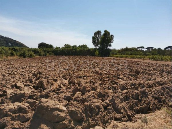 terreno agricolo in vendita a Sessa Aurunca in zona Piedimonte