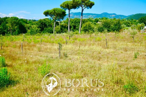 terreno in vendita a Sessa Aurunca