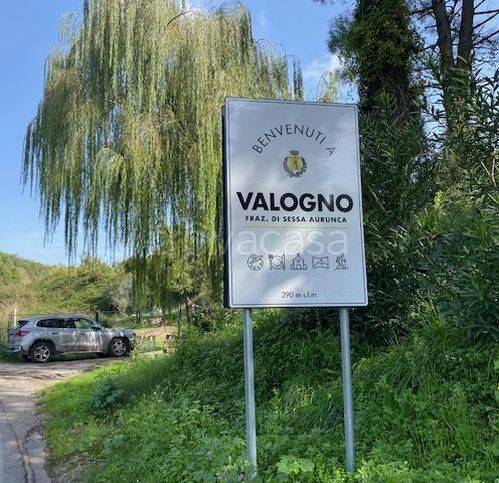 terreno agricolo in vendita a Sessa Aurunca in zona Valogno