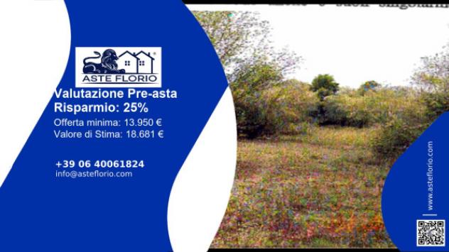 terreno edificabile in vendita a Sessa Aurunca in zona Valogno