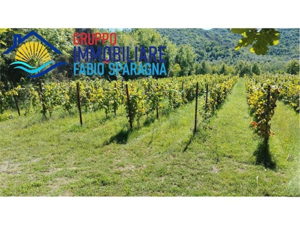 azienda agricola in vendita a Sessa Aurunca in zona Cascano