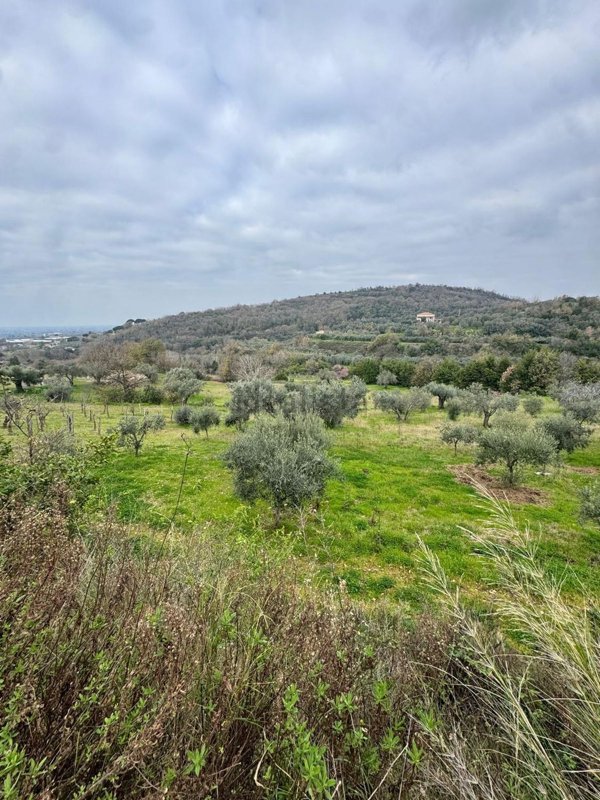 terreno agricolo in vendita a Sessa Aurunca