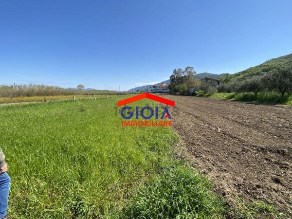 negozio in vendita a Sessa Aurunca in zona Piedimonte