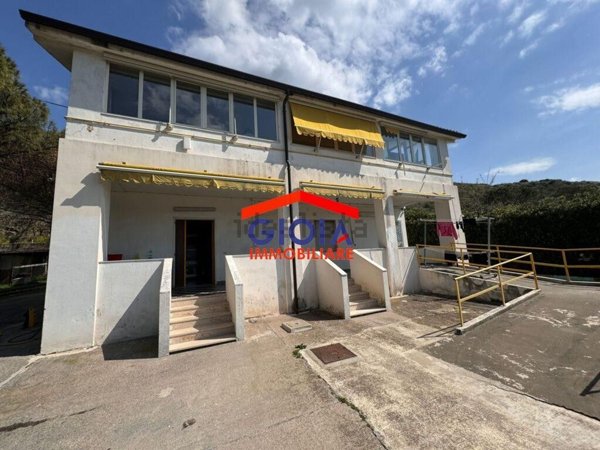 esavano in vendita a Sessa Aurunca