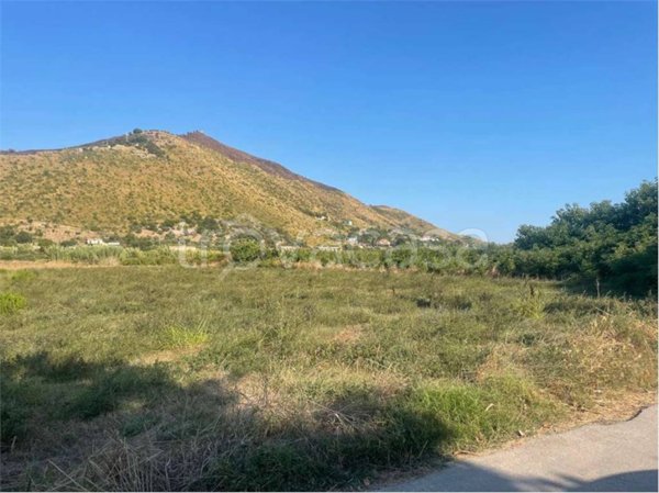 terreno agricolo in vendita a Sessa Aurunca in zona Piedimonte