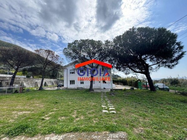 esavano in vendita a Sessa Aurunca