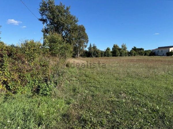 terreno agricolo in vendita a Sessa Aurunca in zona Fasani
