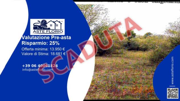 terreno edificabile in vendita a Sessa Aurunca in zona Valogno