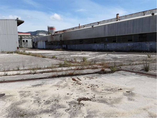 locale commerciale in vendita a Sessa Aurunca in zona Piedimonte