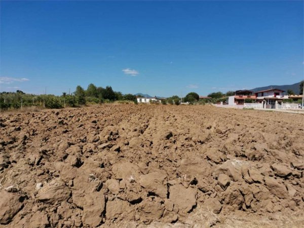 terreno agricolo in vendita a Sessa Aurunca in zona Piedimonte