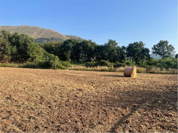 terreno agricolo in vendita a Sessa Aurunca in zona Piedimonte