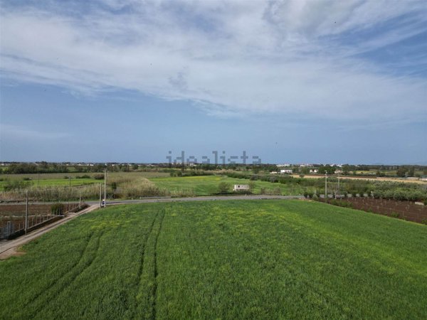 capannone in vendita a Sessa Aurunca