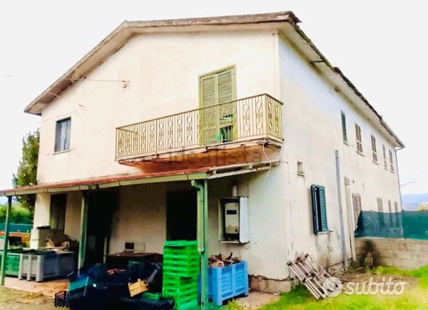 esavano in vendita a Sessa Aurunca