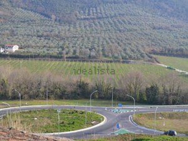 azienda agricola in vendita a Sessa Aurunca