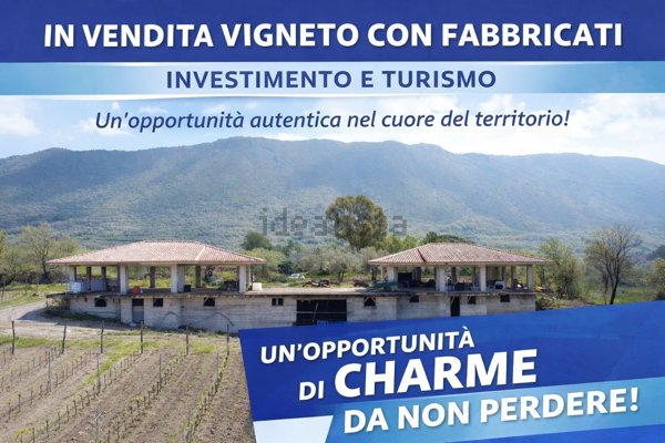 casa indipendente in vendita a Sessa Aurunca
