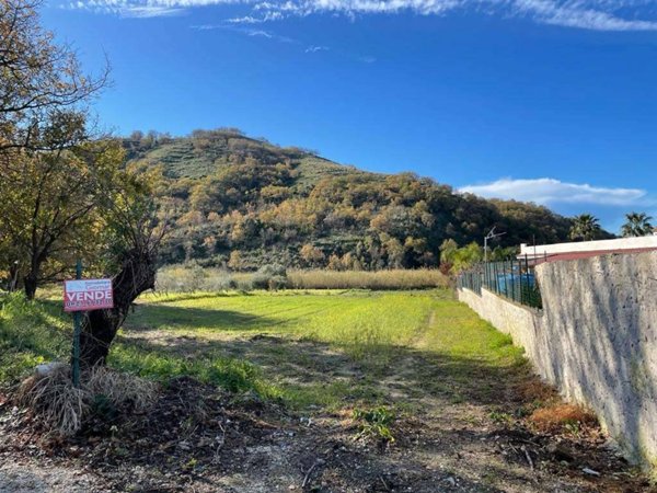 terreno agricolo in vendita a Sessa Aurunca in zona San Martino