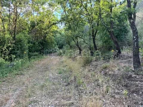 terreno agricolo in vendita a Sessa Aurunca in zona Cascano