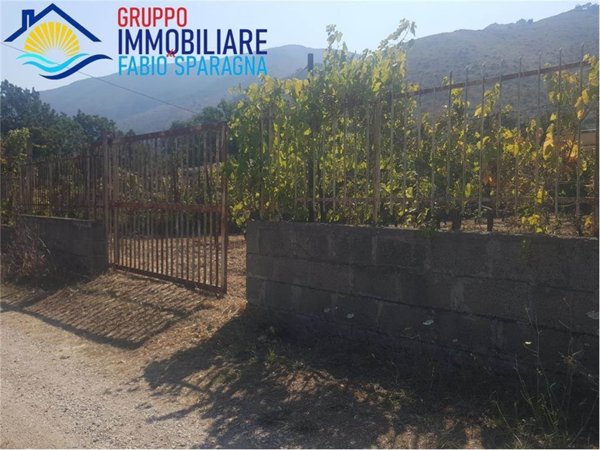 terreno agricolo in vendita a Sessa Aurunca