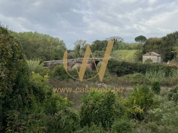 terreno agricolo in vendita a Sessa Aurunca