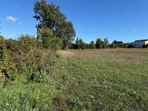 terreno agricolo in vendita a Sessa Aurunca in zona Fasani