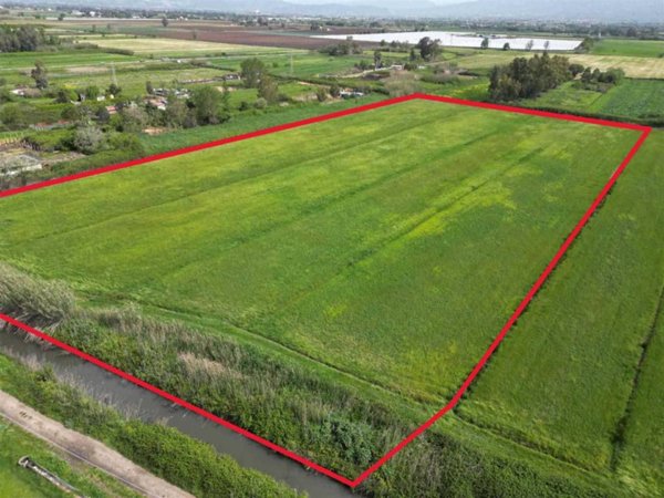 terreno agricolo in vendita a Sessa Aurunca in zona Baia Domizia