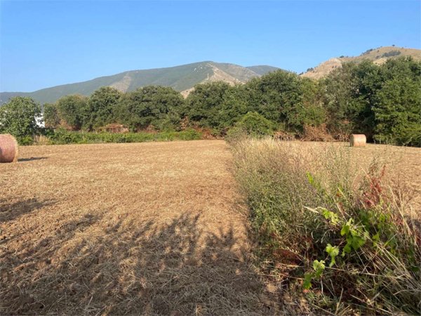 terreno in vendita a Sessa Aurunca
