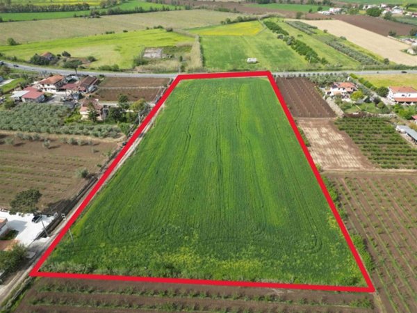 terreno agricolo in vendita a Sessa Aurunca