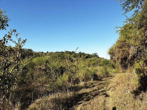 terreno in vendita a Sessa Aurunca in zona Lauro