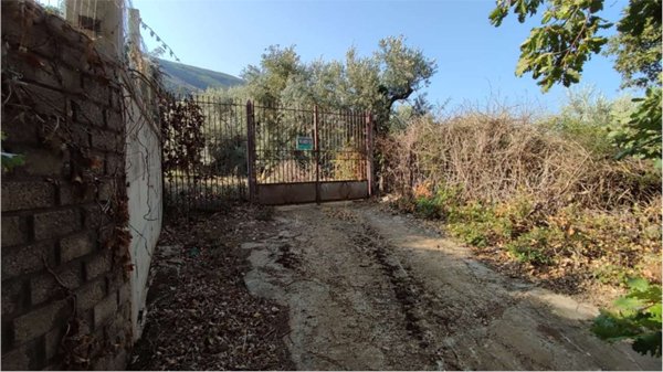 terreno in vendita a Sessa Aurunca in zona Carano