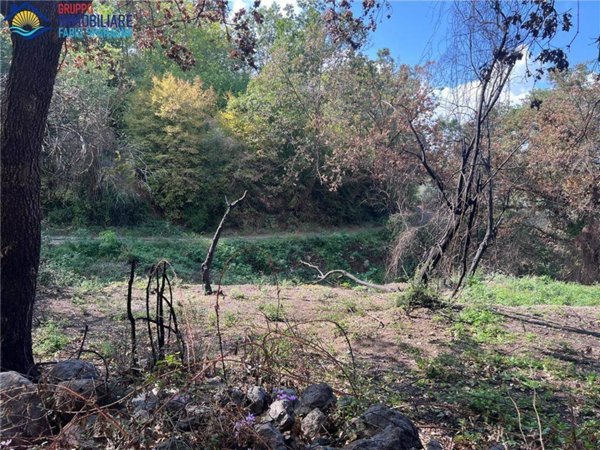 terreno in vendita a Sessa Aurunca in zona Santa Maria a Valogno