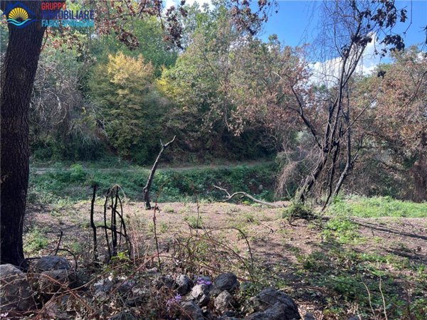 terreno in vendita a Sessa Aurunca in zona Santa Maria a Valogno