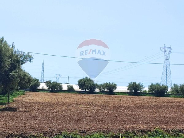 terreno agricolo in vendita a Sparanise