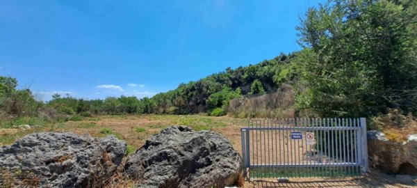 terreno in vendita a Sparanise