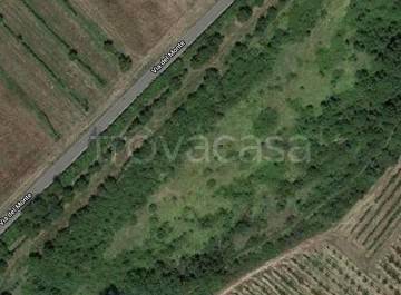 terreno agricolo in vendita a Succivo